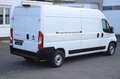 Fiat Ducato H2 Kastenwagen 35 L4H2 140 Multijet Maxi Blanc - thumbnail 5