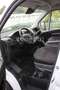 Fiat Ducato H2 Kastenwagen 35 L4H2 140 Multijet Maxi Blanc - thumbnail 14
