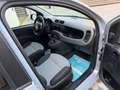 Fiat Panda Panda III 1.2 Lounge s Grigio - thumbnail 15