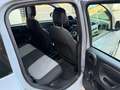 Fiat Panda Panda III 1.2 Lounge s Grigio - thumbnail 14