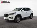 Hyundai TUCSON Tucson 2,0 CRDI 4WD Style Weiß - thumbnail 1