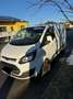 Ford Transit Custom Transit Custom L1H1 300K Variobus 2,2 TDCi Basis Basis Weiß - thumbnail 2