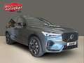 Volvo XC60 T6 AWD Plug-in Hybrid Plus Dark 360°Kamera ACC Grün - thumbnail 5