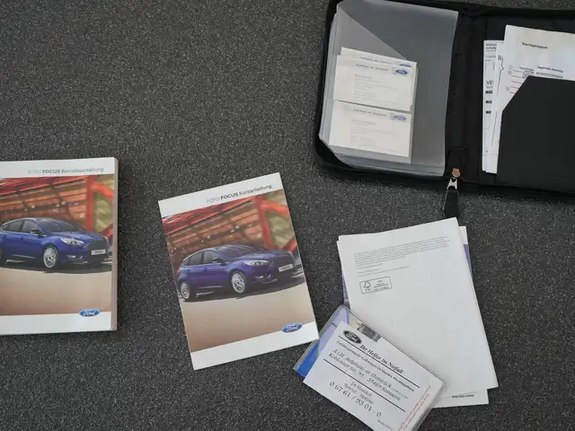Ford Focus view 15