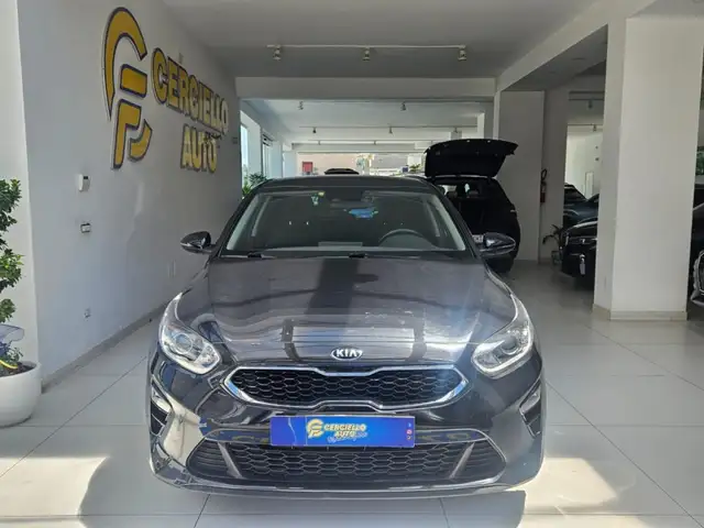 Kia Ceed / cee'd 1.6 CRDi 136 CV MHEV iMT 5p. Style da €179,00