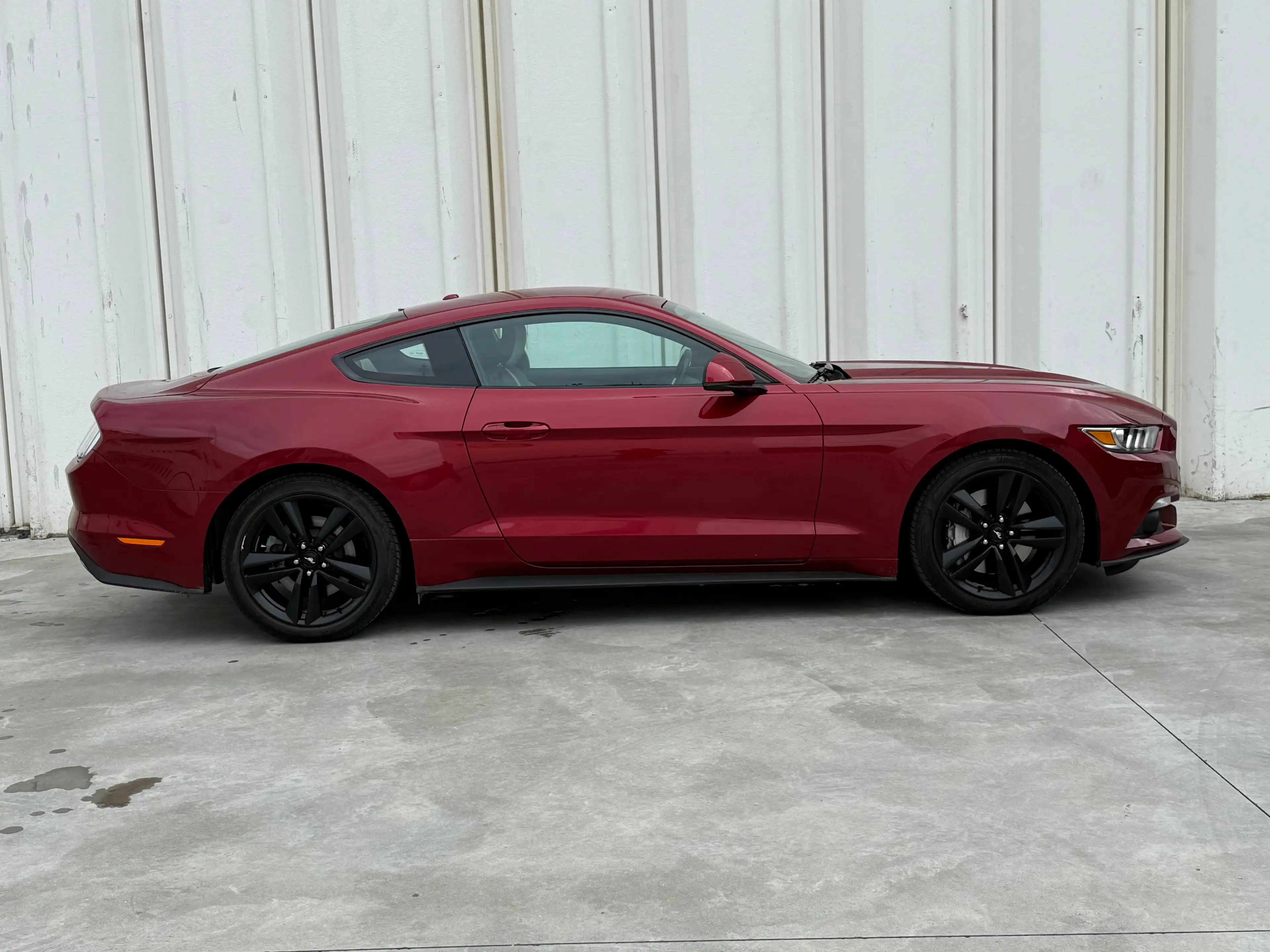 Ford Mustang Mustang 2.3 EcoBoost — photo 5