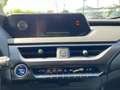 Lexus UX 200 Hybrid 4WD Premium Gri - thumbnail 9