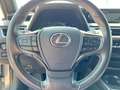 Lexus UX 200 Hybrid 4WD Premium Gri - thumbnail 6