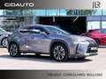 Lexus UX 200 Hybrid 4WD Premium Gri - thumbnail 1