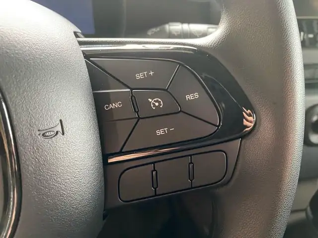 Fiat Panda view 14