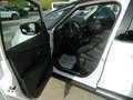Renault Scenic GRAND SCENIC BOSE Blue dCi 120 EDC Weiß - thumbnail 12