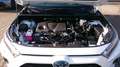 Toyota RAV 4 RAV4 2.5 Hybrid Style Selection AHK/Alcantara/JBL/ Weiß - thumbnail 14