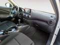 Nissan Juke 5P 1.0 DIG-T 84 KW (114 CV) E6D-F 6 M/T ACENTA - thumbnail 16