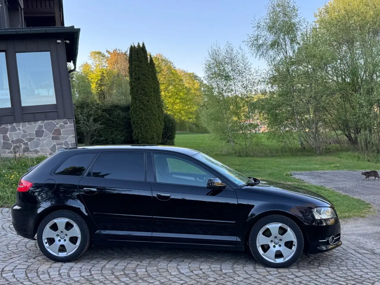 Das Auto