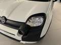 Fiat Panda My25 1.0 70cv Hybrid Pandina Blanc - thumbnail 12