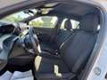 Peugeot 2008 2008 PureTech 100 S&S Allure Bianco - thumbnail 14