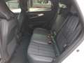 Renault Austral E-Tech Full Hybrid 200 Techno Aut. Weiß - thumbnail 25