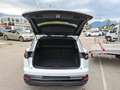 Renault Austral E-Tech Full Hybrid 200 Techno Aut. Weiß - thumbnail 27