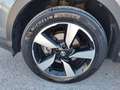 Nissan Qashqai 1.5 dCi N-Connecta N1 TETTO Grau - thumbnail 17