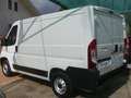 Fiat Ducato 28 ch1 2.3 M.JET 120CV E6DTEM Bianco - thumbnail 5
