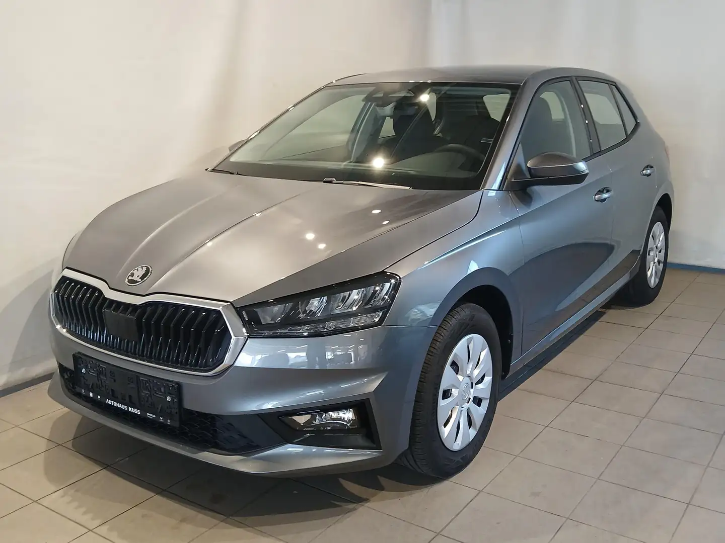 Skoda Fabia Essence TSI Grau - 1