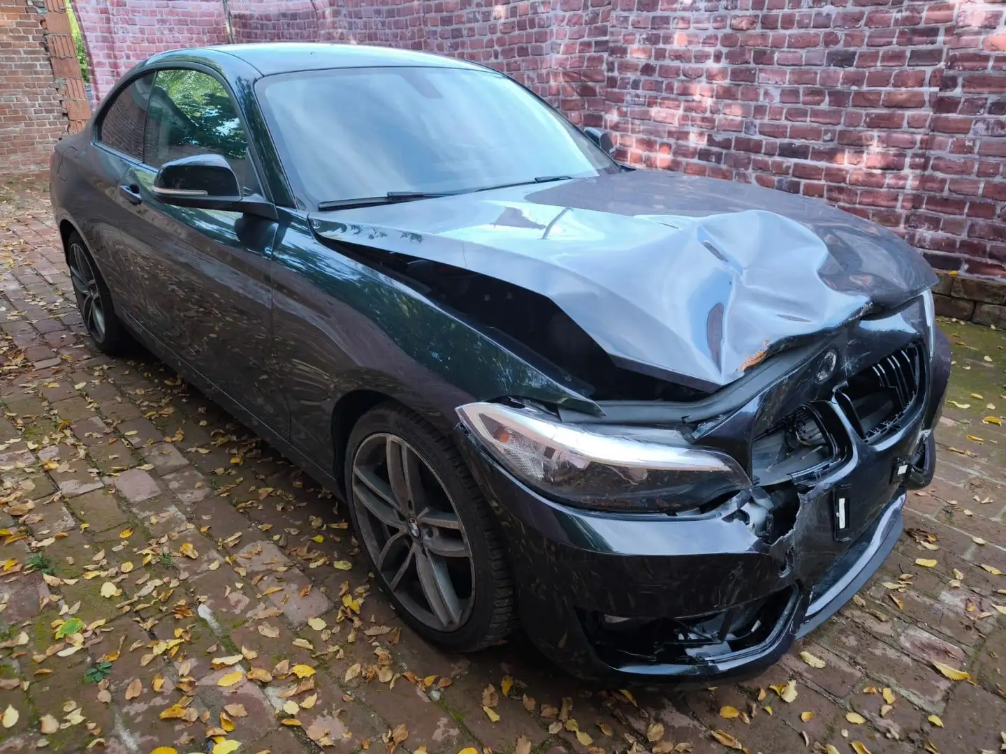 BMW 220 d 2.0 D16V M Sport Airbags sind geschlossen Schwarz - 1