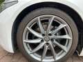 Alfa Romeo Giulia Super Bianco - thumbnail 11