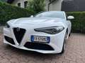 Alfa Romeo Giulia Super Bianco - thumbnail 1