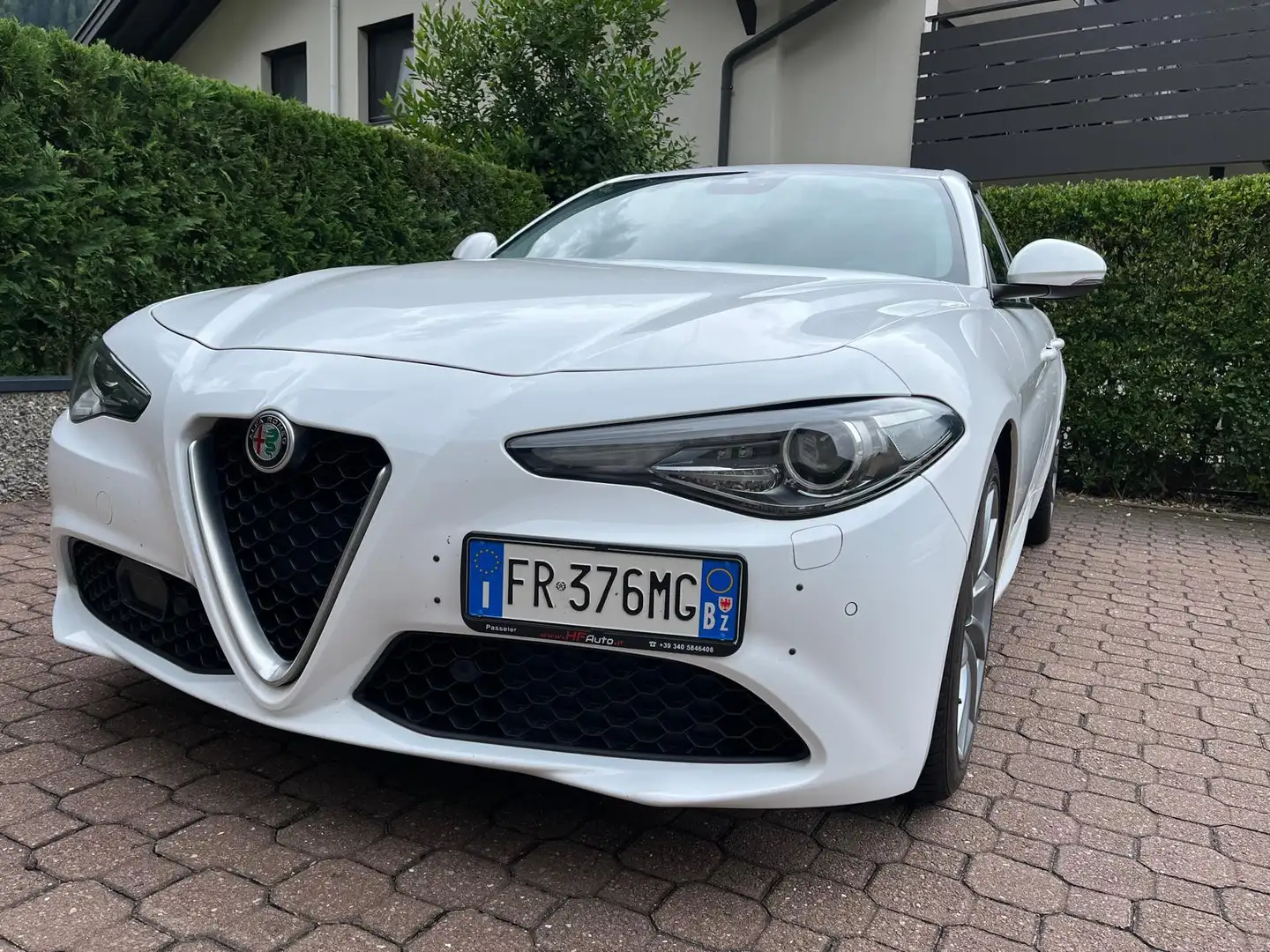 Alfa Romeo Giulia Super Bianco - 1
