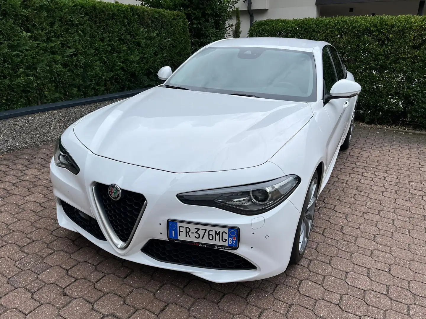 Alfa Romeo Giulia Super Bianco - 2