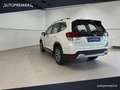 Subaru Forester Forester 2.0 e-Boxer MHEV CVT Lineartronic Free o Bianco - thumbnail 7