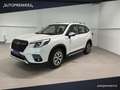 Subaru Forester Forester 2.0 e-Boxer MHEV CVT Lineartronic Free o Bianco - thumbnail 2
