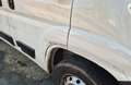 Fiat Ducato H2 Kastenwagen 35 L3H2 140 Multijet Hoch Blanc - thumbnail 15