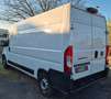 Fiat Ducato H2 Kastenwagen 35 L3H2 140 Multijet Hoch Blanc - thumbnail 6
