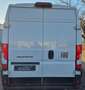 Fiat Ducato H2 Kastenwagen 35 L3H2 140 Multijet Hoch Blanc - thumbnail 4