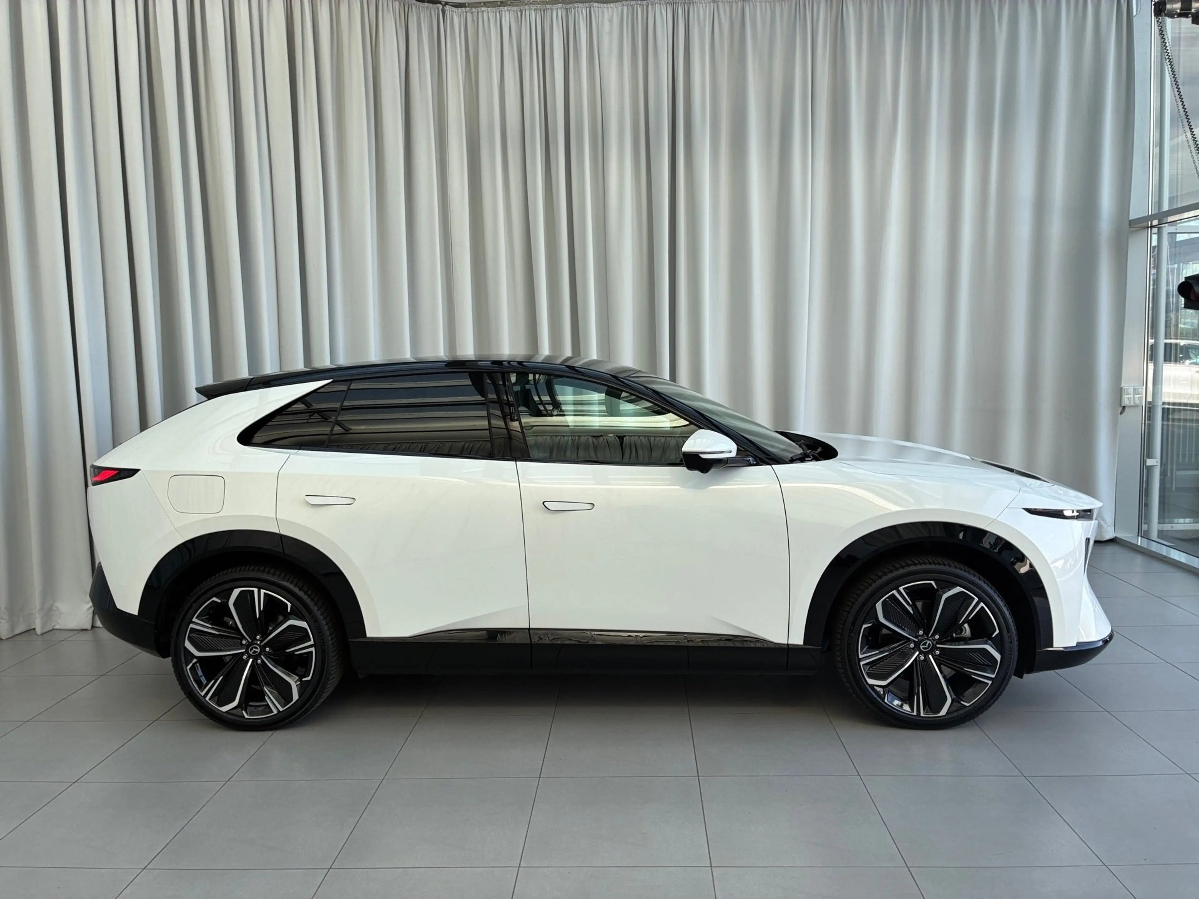 Mazda CX-6e EV 258PS AT RWD Takumi  21Zoll  PABS — photo 4