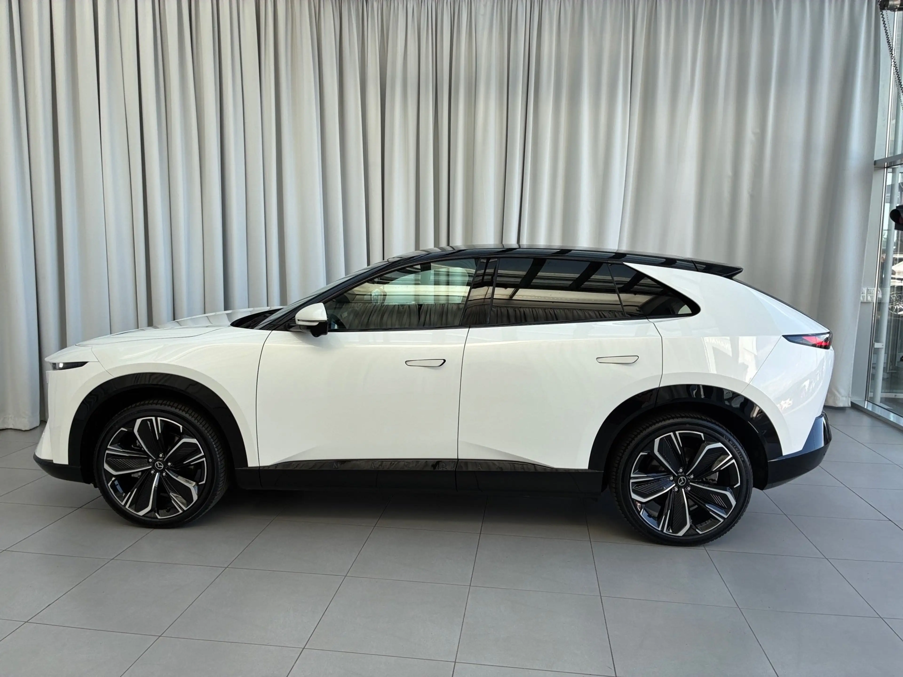Mazda CX-6e EV 258PS AT RWD Takumi  21Zoll  PABS — photo 7