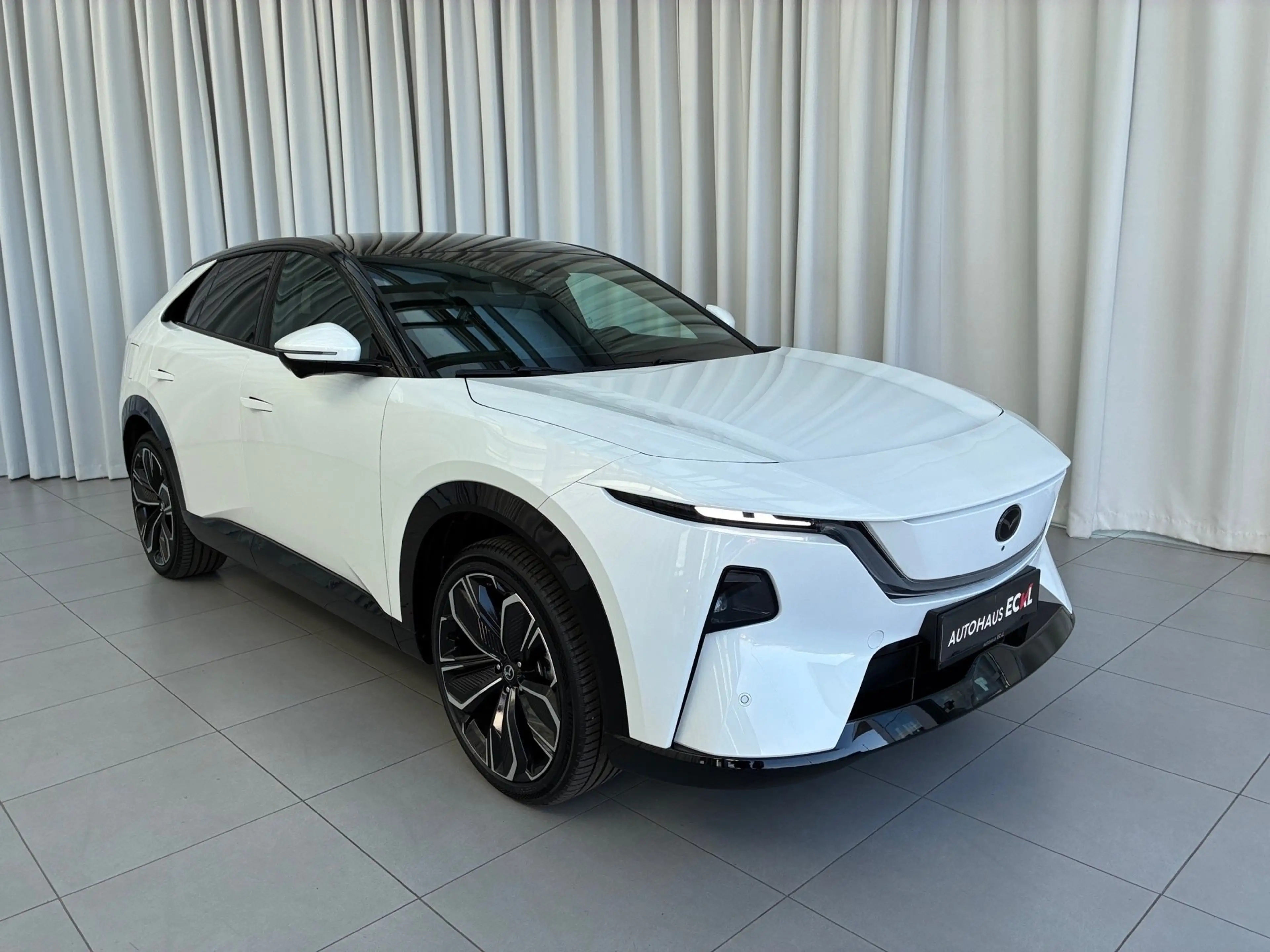 Mazda CX-6e EV 258PS AT RWD Takumi  21Zoll  PABS — photo 3