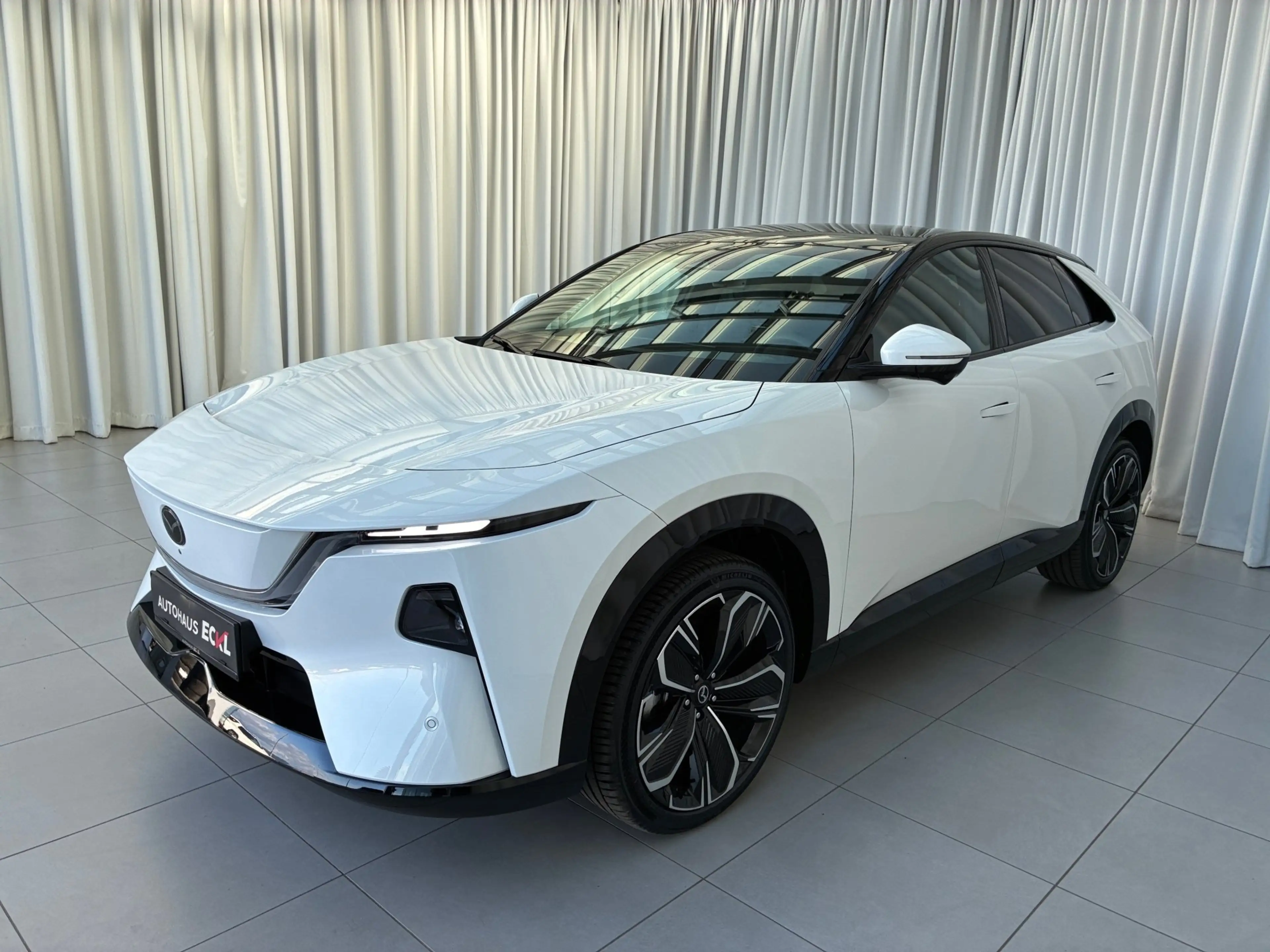 Mazda CX-6e EV 258PS AT RWD Takumi  21Zoll  PABS — photo 2