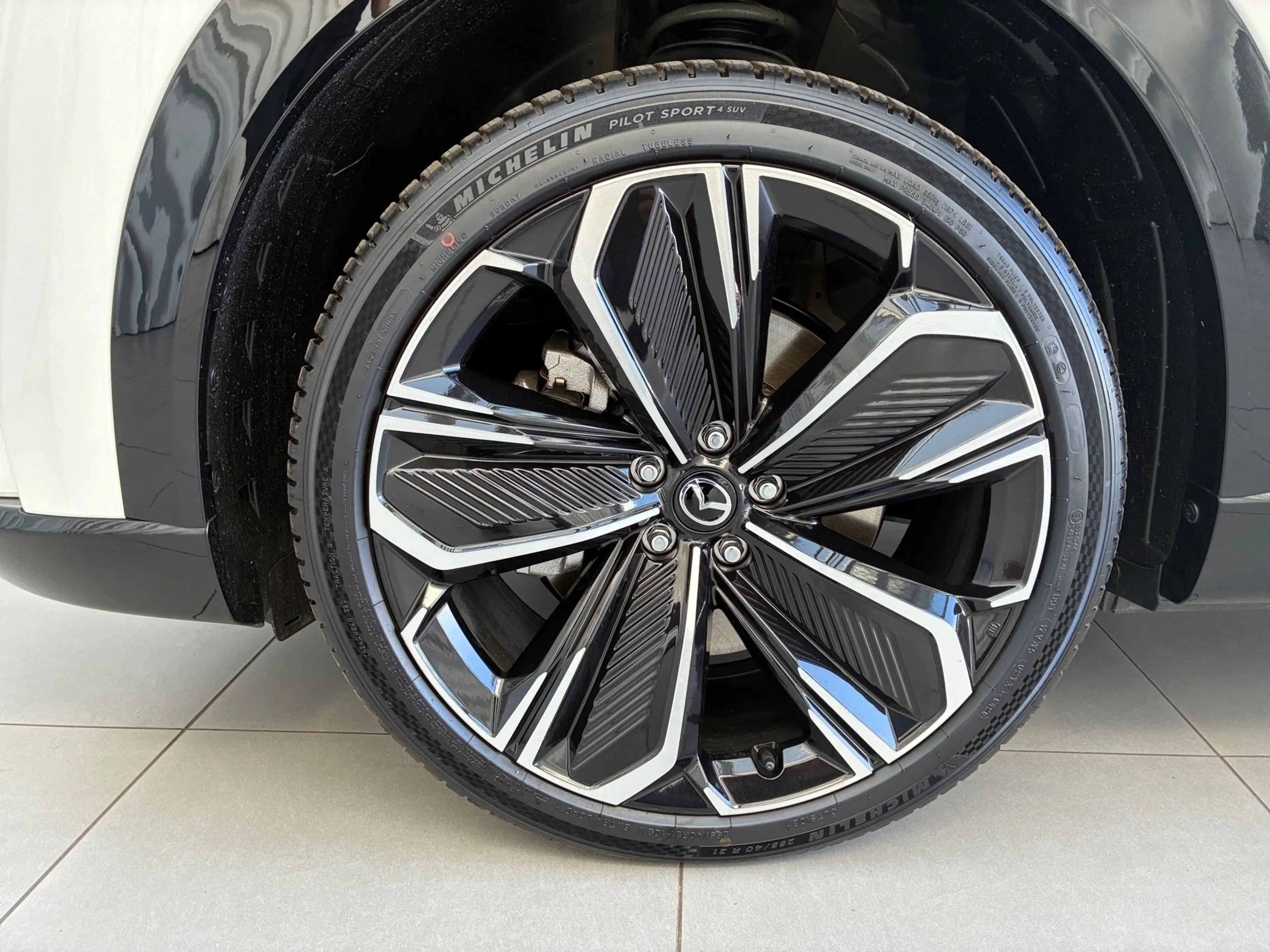 Mazda CX-6e EV 258PS AT RWD Takumi  21Zoll  PABS — photo 9
