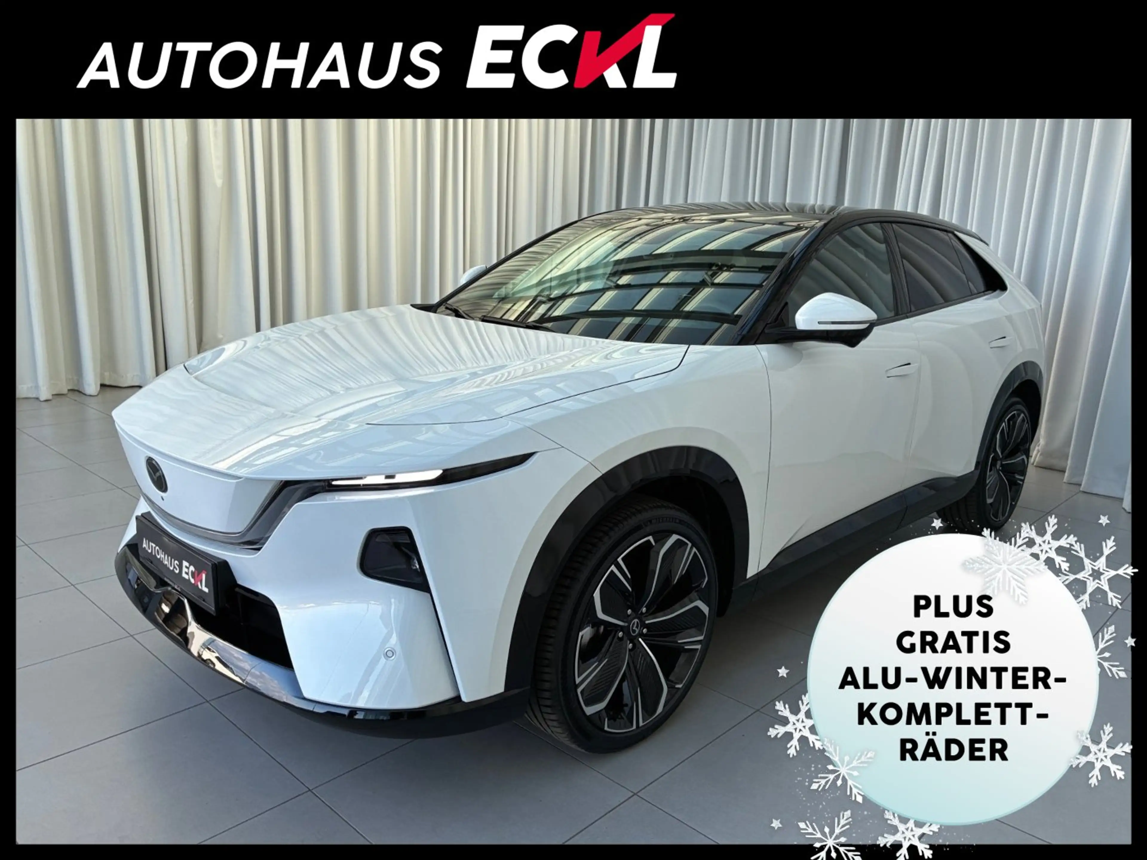 Mazda CX-6e EV 258PS AT RWD Takumi  21Zoll  PABS
