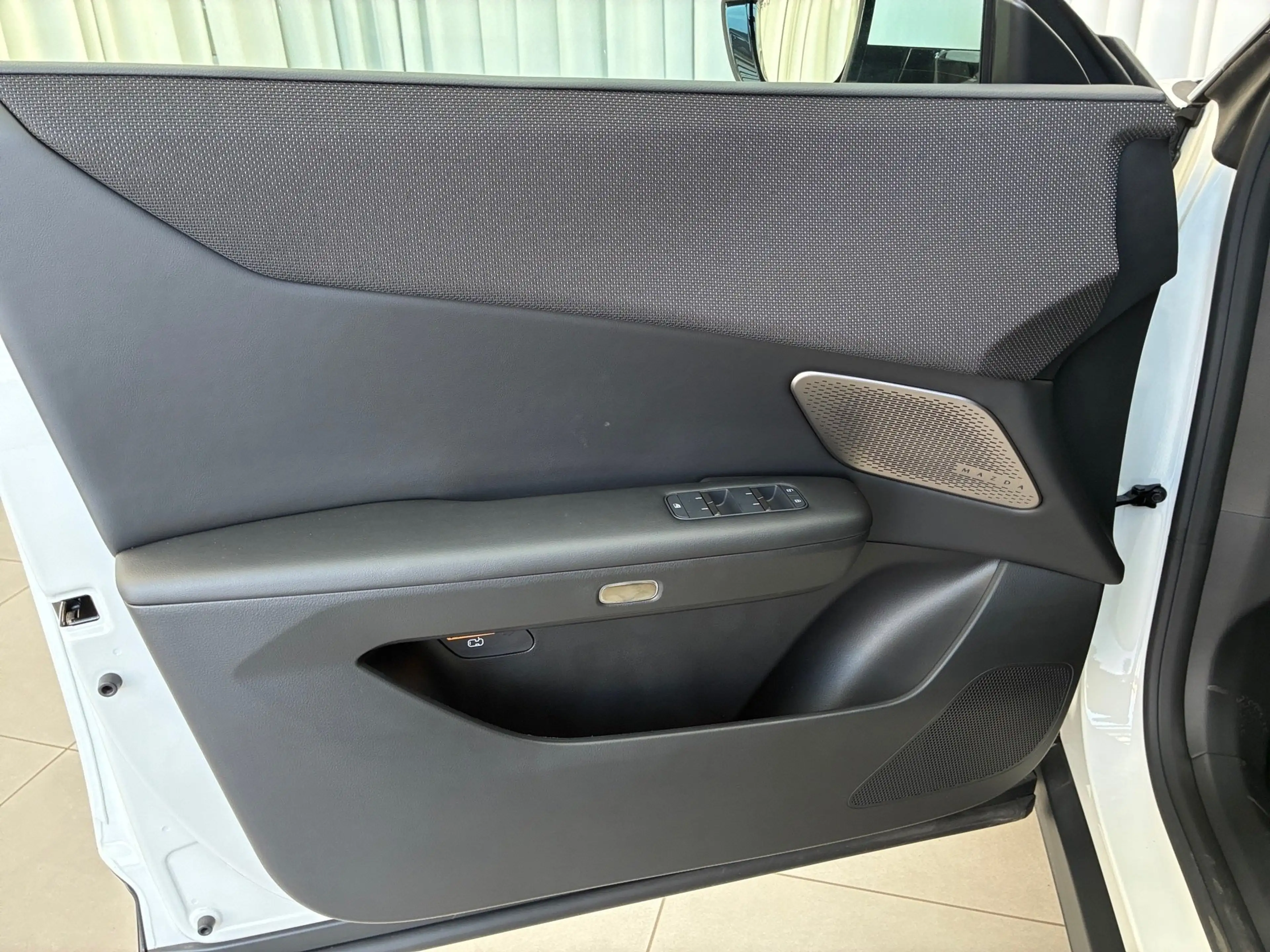 Mazda CX-6e EV 258PS AT RWD Takumi  21Zoll  PABS — photo 14