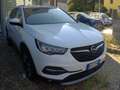 Opel Grandland X Grandland X 1.5 ecotec Anniversary Wit - thumbnail 2