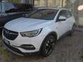 Opel Grandland X Grandland X 1.5 ecotec Anniversary Wit - thumbnail 1
