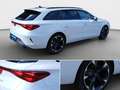 CUPRA Leon SP 1.5 eTSI DSG*2025*NAVI*KAM*SHZ*Assist*18 Weiß - thumbnail 24
