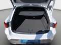 CUPRA Leon SP 1.5 eTSI DSG*2025*NAVI*KAM*SHZ*Assist*18 Weiß - thumbnail 13