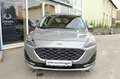 Ford Kuga 2,0 EcoBlue Hybrid Vignale Silber - thumbnail 2