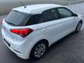 Hyundai i20 1,25 Start! ID:39 Weiß - thumbnail 7