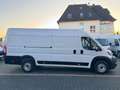 Peugeot Boxer 35 L4H2 140 *360°PDC*Kamera*Tempomat*Holz Blanc - thumbnail 2