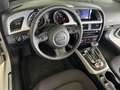 Audi A5 Cabrio 2.0 tdi S-LINE - AUTOMATICA Bianco - thumbnail 14